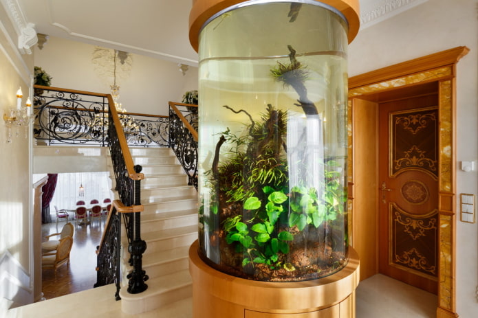 aquário perto da escada em uma casa particular