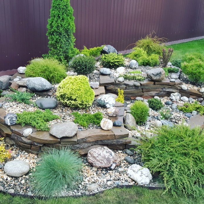 rochas para um jardim alpino