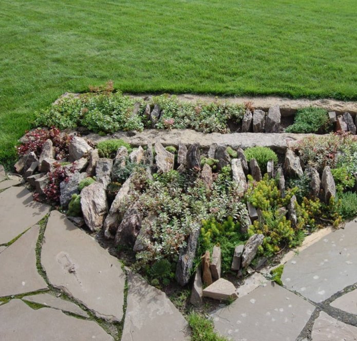 decoração de jardim com pedras