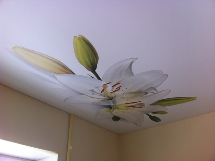 teto tenso branco com flores