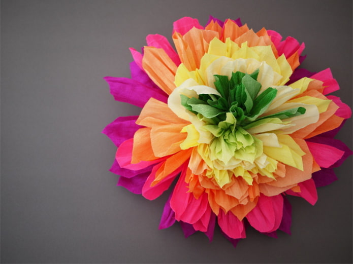 Flor grande e multicolorida