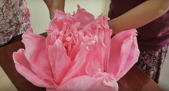 Formando uma flor