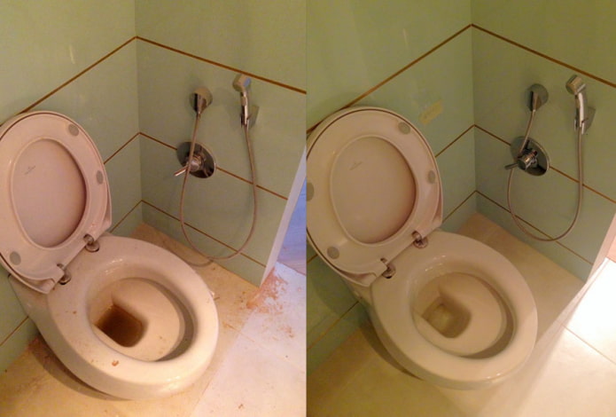 Vaso sanitário antes e depois da limpeza com pó Sarma
