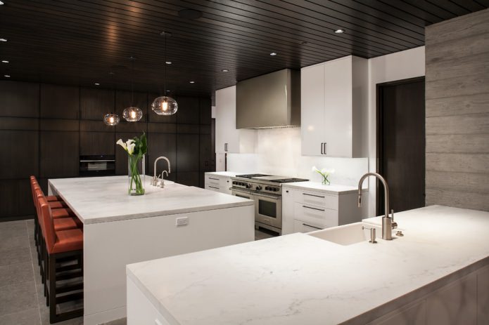 design de cozinha em preto e branco