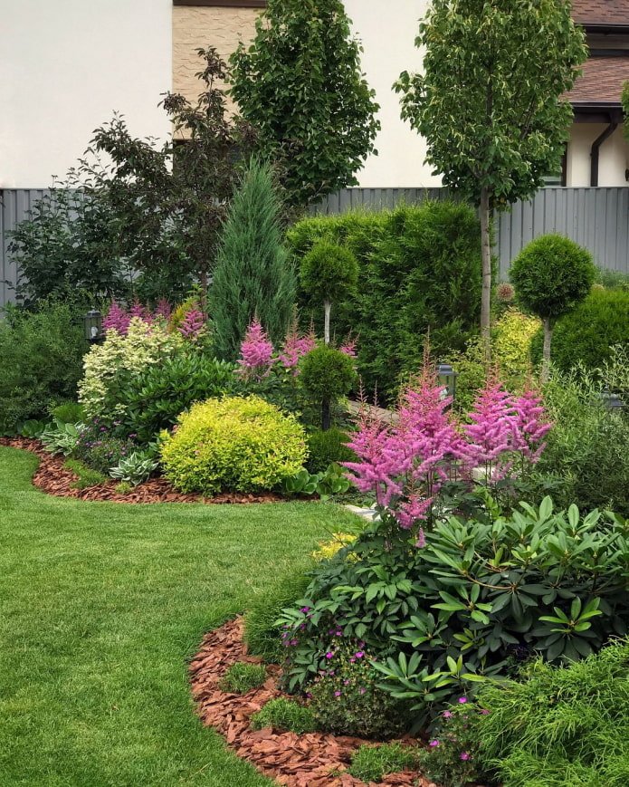 rich mixborder