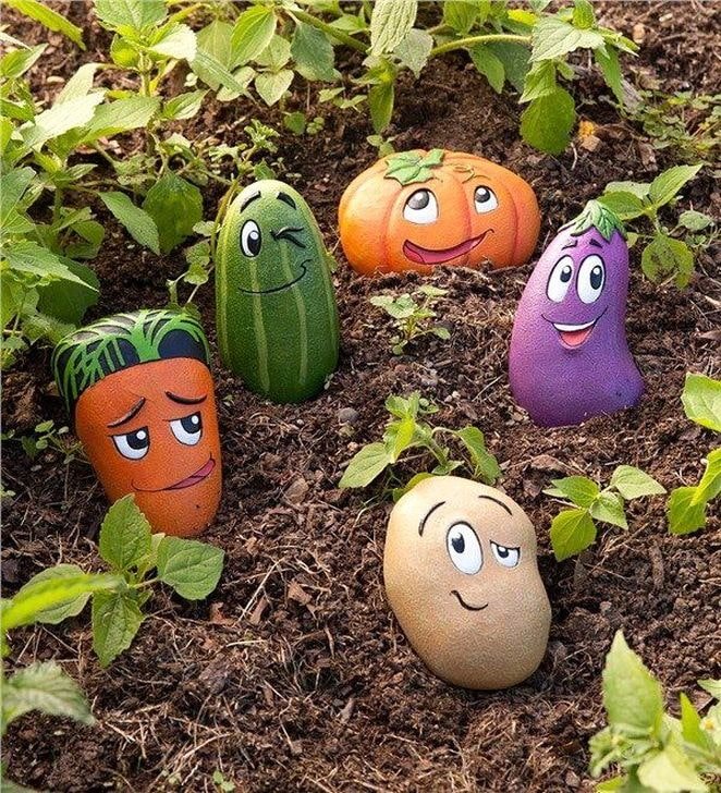 Pedrinhas-vegetais