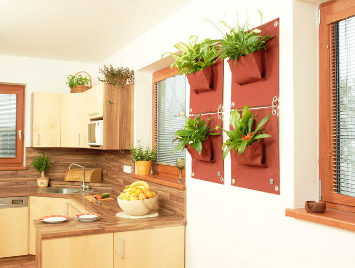 plantas na parede do interior da cozinha