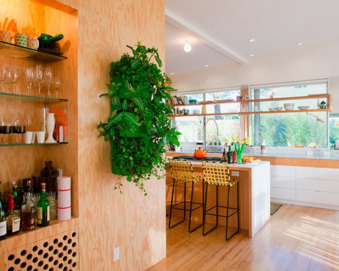 plantas na parede do interior da cozinha