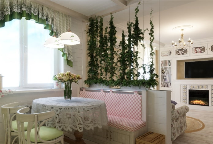Plantas de interior para zoneamento
