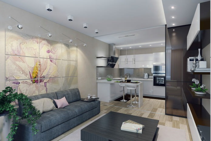 projeto de um apartamento de dois cômodos de 50 m².