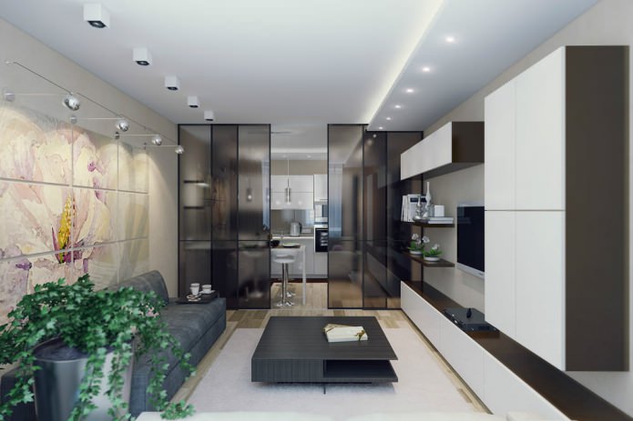 projeto de um apartamento de dois cômodos de 50 m².