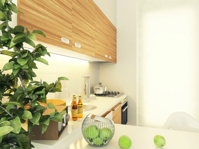 cozinha no projeto de design de um estúdio de 29 m².