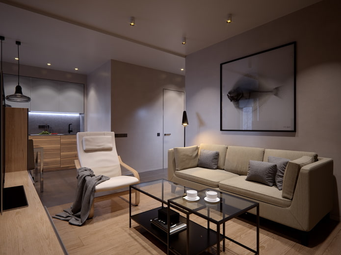 interior de um apartamento de um cômodo de 50 metros quadrados
