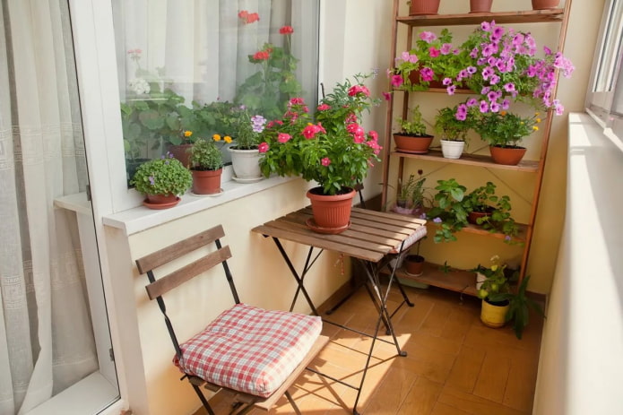 flores na loggia