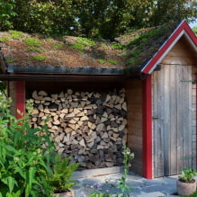 Como construir um galpão de lenha para uma casa de verão - Instruções passo a passo e ideias para inspiração - 5