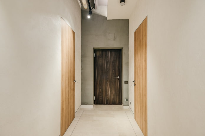 portas no interior do corredor no estilo minimalista