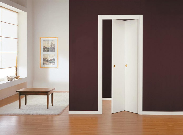 porta sanfonada no interior