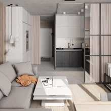 Características do design do apartamento Euro-2-room-4