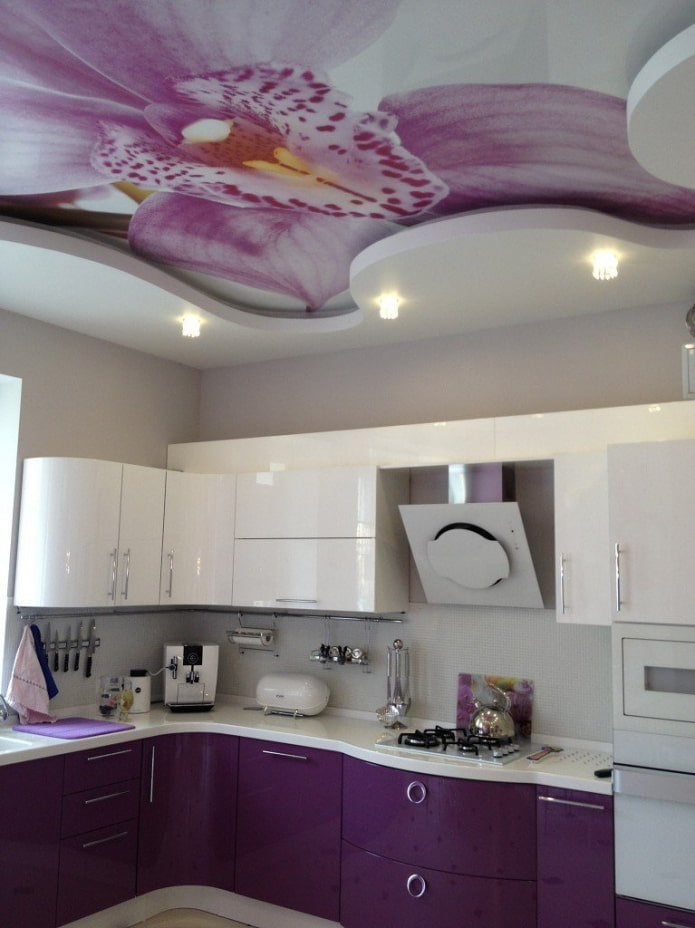 teto violeta na cozinha