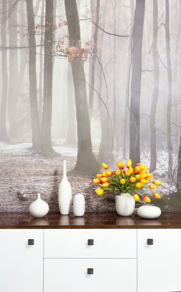 Papel de parede com imagem de floresta