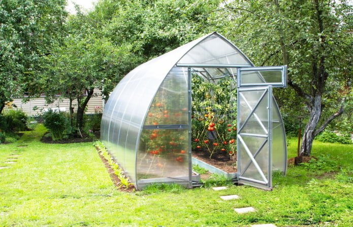 estufa com tomates no campo