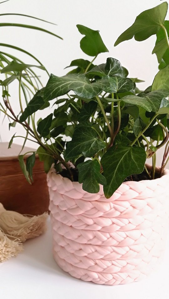 Vaso de planta pronto