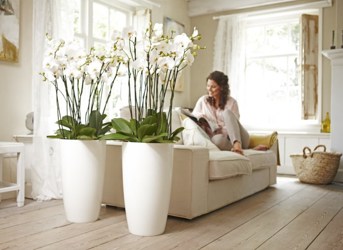 orquídeas de plástico no interior