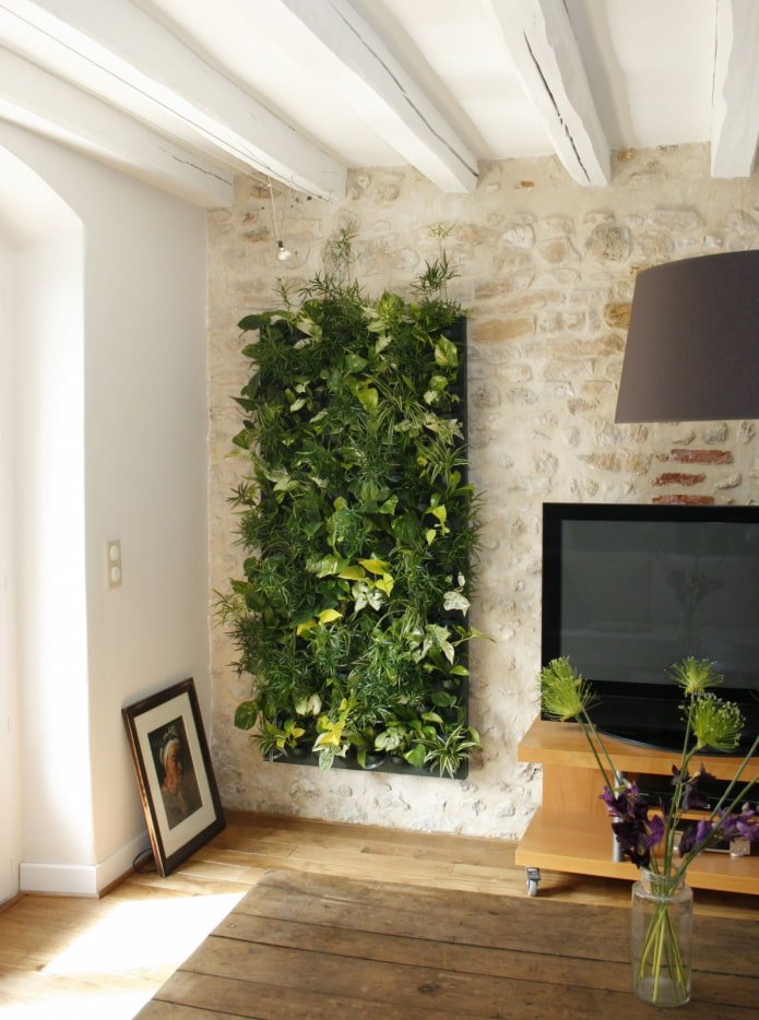 parede de plantas perto da TV