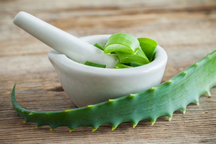 suco de aloe