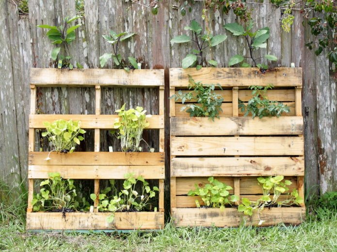 Paletes com verduras perto da cerca