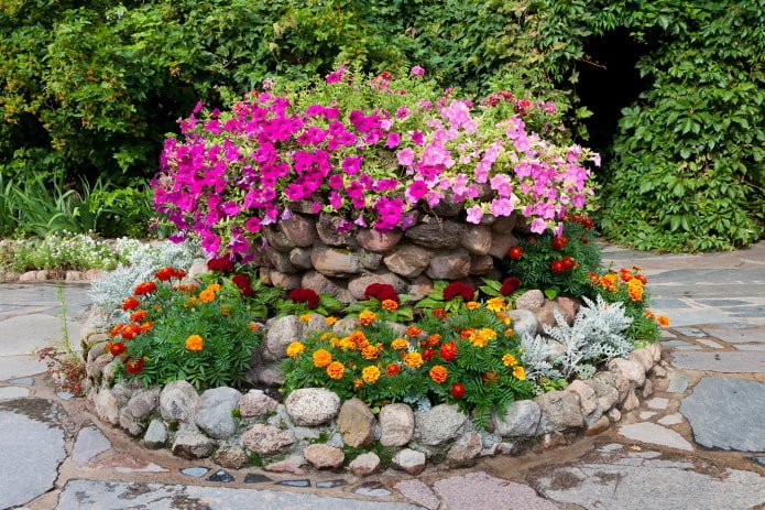 canteiro de flores com vários níveis