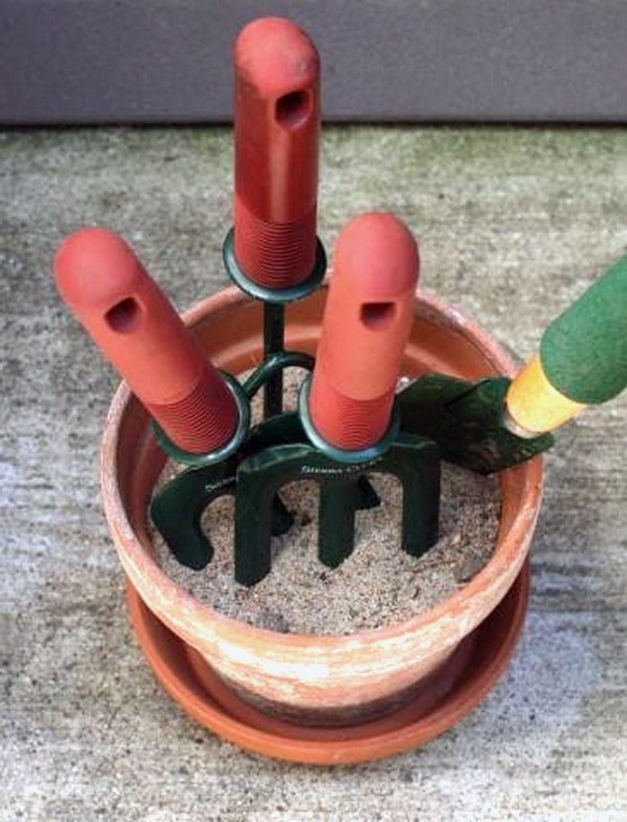 Inventário em um pote com areia