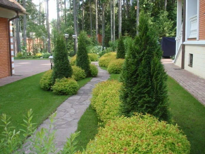 caminho de jardim emoldurado por grupos de coníferas