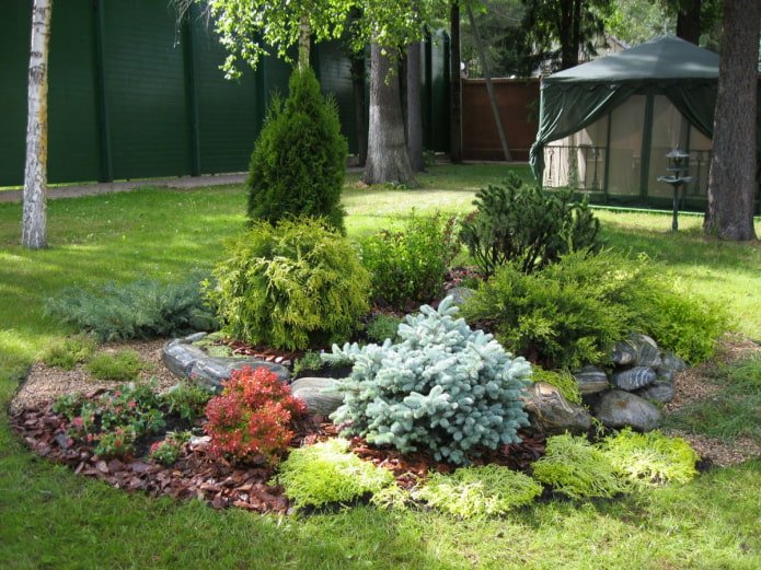 jardim de pedras com coníferas e flores