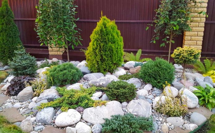 jardim ornamental arredondado com coníferas