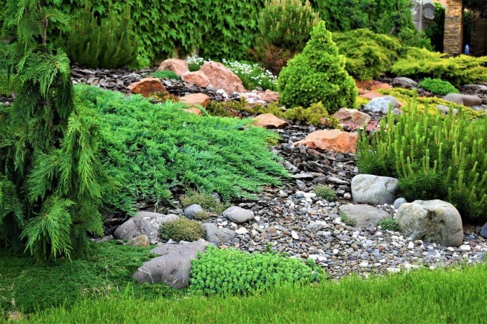 jardim ornamental alongado com coníferas