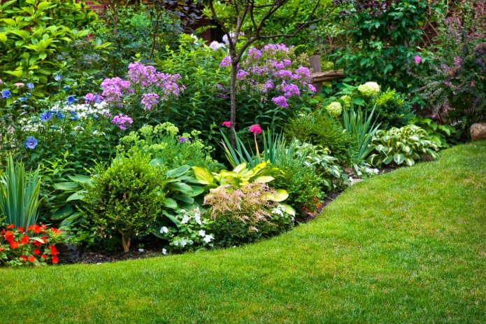 mixborder com flores de verão