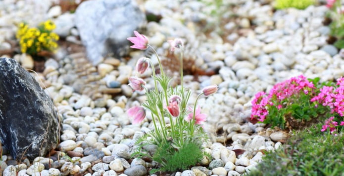 jardim de pedras de primavera
