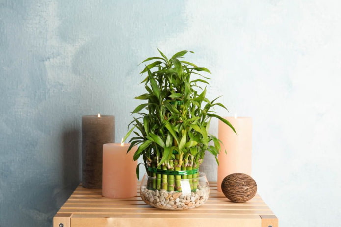 composição decorativa com velas