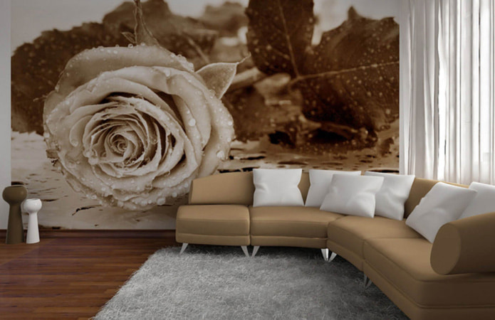 Papel de parede fotográfico 3D