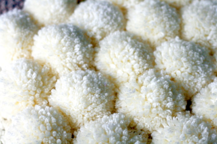 Costurando pompons