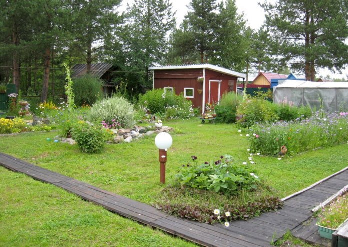 Casa de verão com caminhos feitos de tábuas