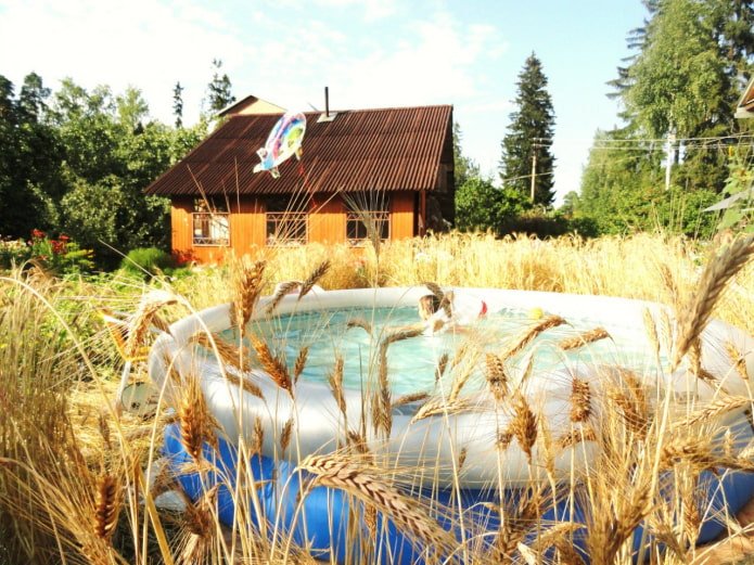 Piscina no campo