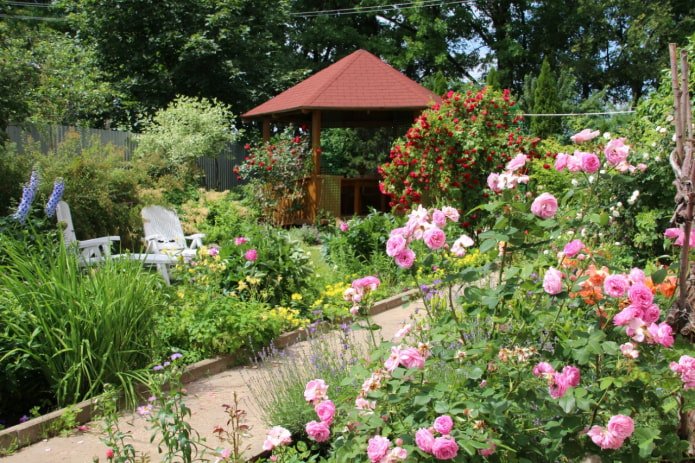Gazebo e rosas