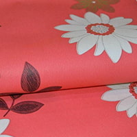 Papel de parede