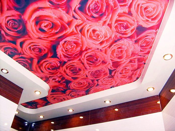 impressão fotográfica de uma rosa vermelha no teto