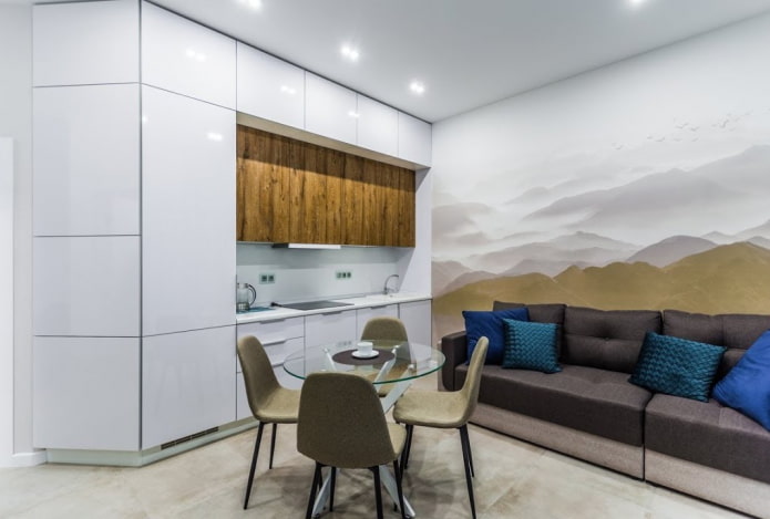 arranjo de uma cozinha-sala de estar de 15 metros quadrados
