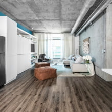 Como projetar uma cozinha-sala de estar em um estilo loft?-2