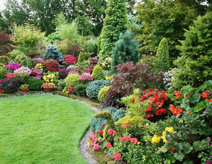 Grupo multicolorido de plantas