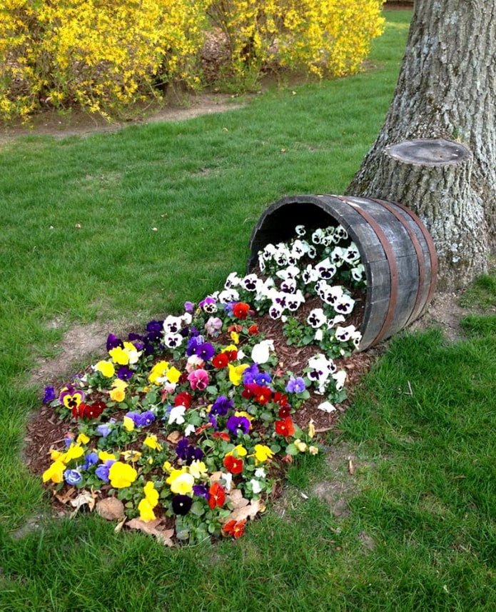 canteiro de flores incomum no local
